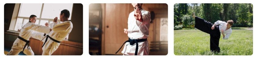 Black Leopard Egyesület Hong Lung Ch'uan Tao Kung Fu