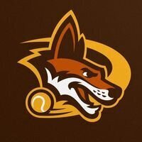 Kaposvár Dingoes Teniszsuli - Donner Sportklub