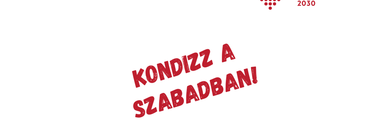 Kondizz a szabadban!