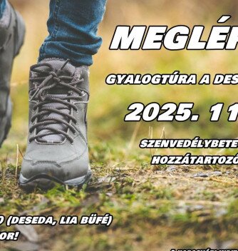MEGLÉPEM! Gyalogtúra a Deseda körül a szenvedélybetegekért és hozzátartozóikért