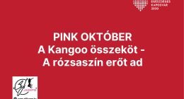 PINK OKTÓBER - GYŰJTSD VELÜNK A KILOMÉTEREKET!