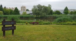 Szabadtéri Pilates a Városligetben, Felde Rebekával!