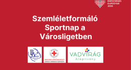 Újra szemléletformáló Sportnap a Városligetben!